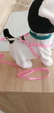 Adjustable-Harness Lead-Leash Leash-Chain-Collars Choose-Toys Interactive-Toy Pet-Puppy