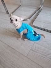 Nueva moda deportes ropa de perro T camisa traje Yorkshire Chihuahua cachorro Ropa para perros de verano perro gato camisa chaleco XS-XXL