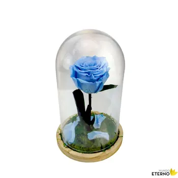 

Dome Beauty and Beast Eternal Rose preserved blue clear
