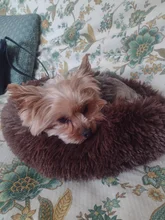 Cushion Nest Sofa Pet-Products Dogs-Basket Cat-House Animals Sleeping Cat Round Plush