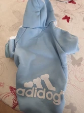 Adidog-ropa para perros pequeños, chaqueta con capucha deportiva de invierno, suéter de algodón suave abrigado puro, Chihuahua de peluche, ropa para cachorros