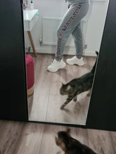 Zapatillas gruesas vulcanizadas informales para mujer, zapatillas de plataforma alta con cordones, color negro, 2020