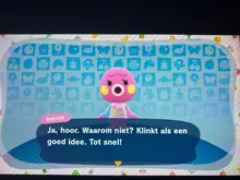 Animal Crossing 264 tarjeta 333