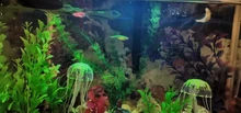 Fish-Aquarium-Decorations Simulation-Plants Fish-Tank Artificial Home Lovely