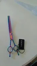 Scissors Grooming-Clipper Shark Curved-Thinning Professional 8inch Shears Hair-Cut-Tools