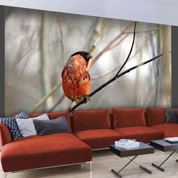 

Wall mural-Bullfinch in the forest - 200x154 cm