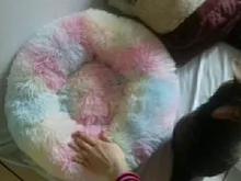 Cushion Nest Sofa Pet-Products Dogs-Basket Cat-House Animals Sleeping Cat Round Plush