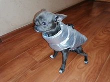 Coat Jacket Vest Bulldog-Clothing Puppy Dogs-Chihuahua French Waterproof Large Winter