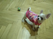 Clothing Jacket Dog Coat Puppy Pets Dogs Fleece Rabbit Small York Medium Soft New 