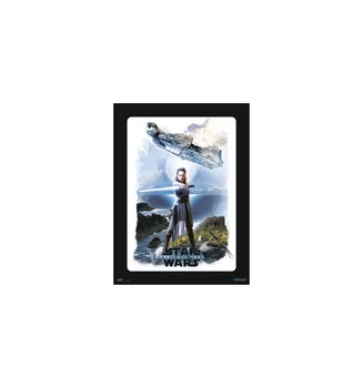 

PRINT 30X40 CM STAR WARS VIII King