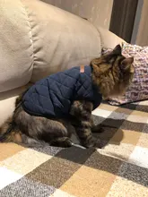 Ropa para perro Chihuahua, traje de gatito, chaqueta para perro, chaleco, ropa de invierno, abrigo de perrito mascota, ropa para perros pequeños y medianos