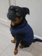 Dog Winter Bulldog-Coat Chihuahu Small French Outfit Puppy Medium Warm 