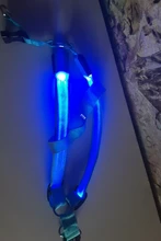 Arnés de seguridad LED de nailon para mascotas, producto para perro, Con luz intermitente, correa, Collar, chaleco, suministros para mascotas
