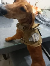 Dog-Harness Loop Dog-Molle-Vest Working Tactical with 2-Metal Buckle Hook Clip Handle