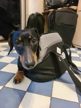 Mochila portamascotas para perros y gatos pequeños, producto de viaje al aire libre, para mascotas, Chihuahua, Pug, cachorro de Yorkshire Terrier