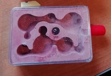 Mini nido de yeso para hormigas, nido plano, Red, hormiga, granja, Terrario de insectos