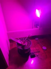 Grow-Light Phyto-Lamp Greenhouse-Vegetable-Seedling-Plant-Lighting USB Full-Spectrum