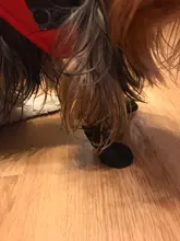 Anti-Skid-Boots Dog-Shoes Pet-Dog Dogs Cats Waterproof Large Silicone Medium Rainy Small