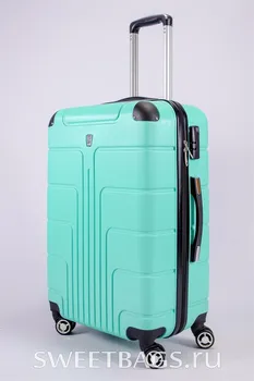 

Suitcase medium pc mint