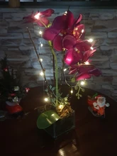 Light-Bar Wine-Bottle-Light Led-String Battery-Powered Cork Birthday-Party DIY 1m/2m