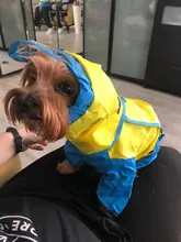 Jumpsuit Raincoat Pet-Cloak Teddy Waterproof-Jacket HOOPET Dogs Chihuahua for Small Cat