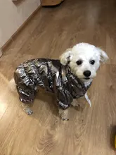 Jacket Clothing Puppy Small Dogs Waterproof Winter Overalls Pet-Coat Dog-Jumpsuit Fleece