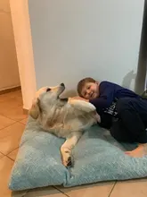 HOOPET Pet Dog Mat Soft Pillow Bed For Dogs Soft Flannel Thickened Pet Soft Fleece Pad