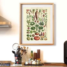 Французская версия антикварная растительная винтажная печать плакатов растительные иллюстрации кухня Настенная картина холст картина домашний декор