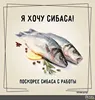Изображение товара 5