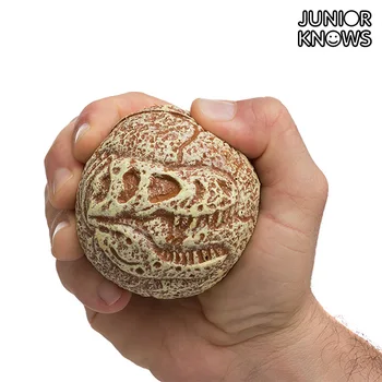 

Junior Knows Fossil Ball
