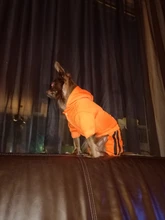 Jumpsuit Clothing Hoodies Jacket Pet-Dog-Coats Small Dogs Sport Apparel Winter Fashion