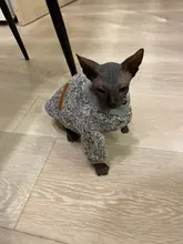 Cálido ropa de perro gato Otoño e Invierno suéter de ropa para mascotas para perros pequeños gatos Pug Chihuahua cachorros gatito traje abrigo de gato traje
