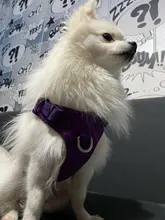 Harness Light-Weight Military-Service Truelove Dog Small Outdoor Tactical Medium Adjustable