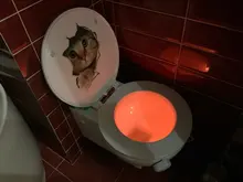 Changeable-Lamp Toilet-Bowl Wc-Light Battery-Powered Motion-Sensor LED 8-Colors Child