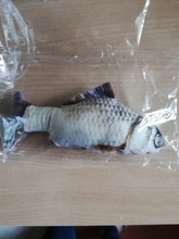 Doll-Pillow Cat-Toy Cat Mint Simulation-Fish Grass-Carp Funny New Pet-Molar