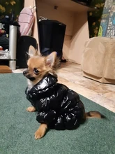 Jacket Clothing Puppy Small Dogs Waterproof Winter Overalls Pet-Coat Dog-Jumpsuit Fleece