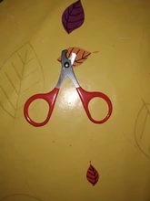 Cortauñas profesional para perros y gatos pequeños, tijeras para garras, productos para el cuidado de mascotas, 1 Uds.