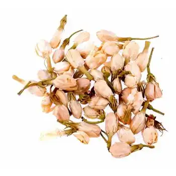 

Jasmine flower