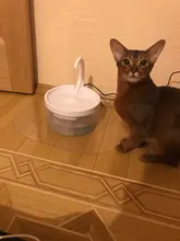 Fuente de Gato de 2L con luz azul, dispensador de agua automático alimentado por USB, alimentador de gatos, filtro de bebida para gatos y perros, proveedor de mascotas