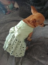 Cat Dress Shirt Summer Pet-Puppy Spring Small Dog Stars-Design Bow 2-Colours Apparel