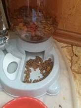 Alimentador automático de mascotas, para perros y gatos, depósito de comida de 2.2L y de agua de 528ml, suministro lento de comida