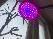 Grow-Light Lamps Timer Flowers Desktop-Clip LED Phyto Full-Spectrum For Plants DC5V USB