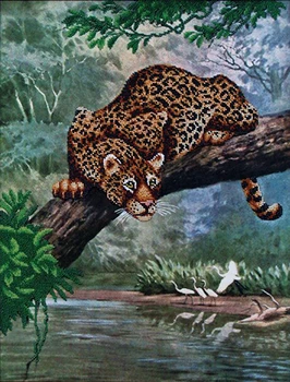 

B-004 set for embroidery with beads 'Magic canvas 'hunts', 42x55 cm