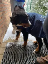 Impermeable para perro mascota impermeable perros grandes ropa de abrigo al aire libre chaqueta de lluvia reflectante Golden Retriever Labrador Husky gran poncho