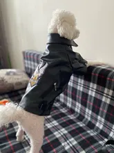 Jacket Dog-Coat Puppy Eagle-Pattern Waterproof Outdoor Outerwear Pet Small Soft Fashion