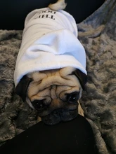 Costume Clothing Dog-Pajamas Pet-Puppy-Clothes Cat-Coat Pets Dogs French-Bulldog Dogs-Chihuahua