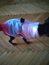 Ropa cálida para perros pequeños, abrigo para perros a prueba de viento, chaqueta acolchada, atuendo con chaleco, ropa para Chihuahua y Yorkshire 35