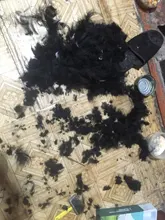 Dicway-cortadora de pelo Gato para perros, afeitadora recargable, juego profesional, tijeras eléctricas, para equipo de animales