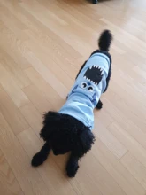 Clothing for Dogs Winter Warm Clothes Dog Hoodies Outfit Jacket Clothing for Dogs Chihuahua