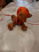 Figuras de acción de la patrulla canina para niños, juguete de peluche suave de 12 y 20cm con seguimiento de perros, modelo Apolo